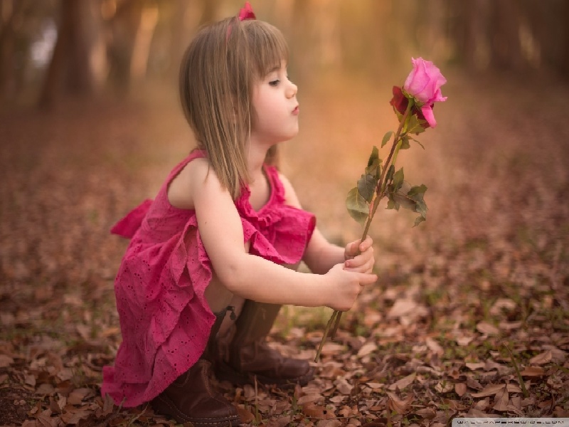 试管移植第七八，工业试管价格多少