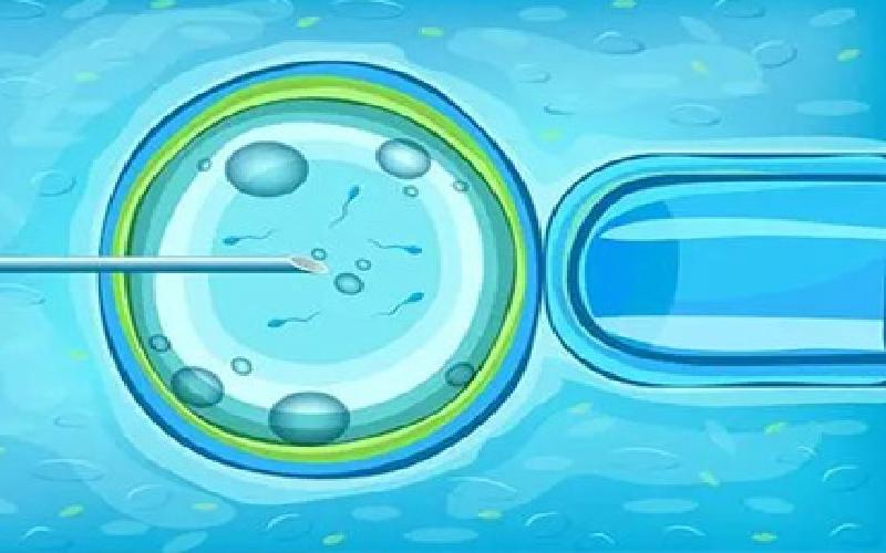 试管种植过程演示代生